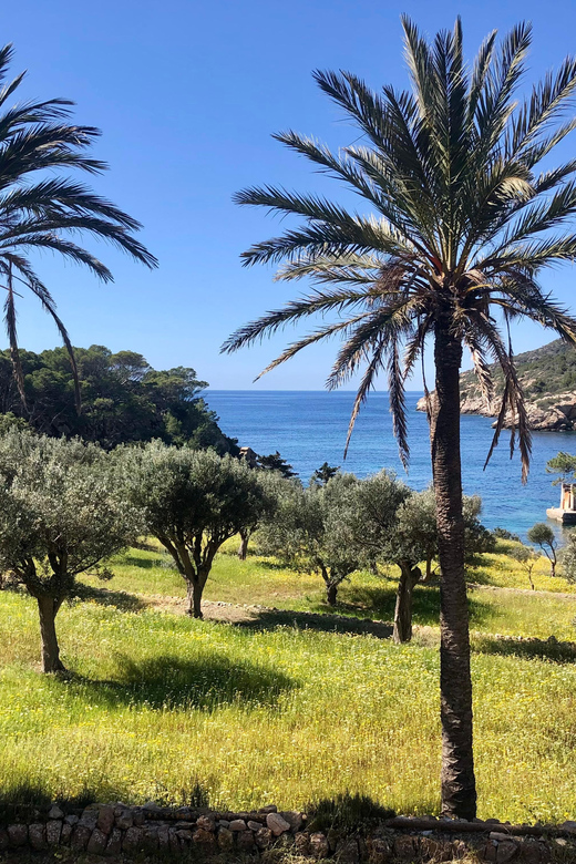Sant Elm: Guided kayak tour to the Island Dragonera & Hiking - Sa Dragonera Natural Park: The Best Kind of Quiet Stop