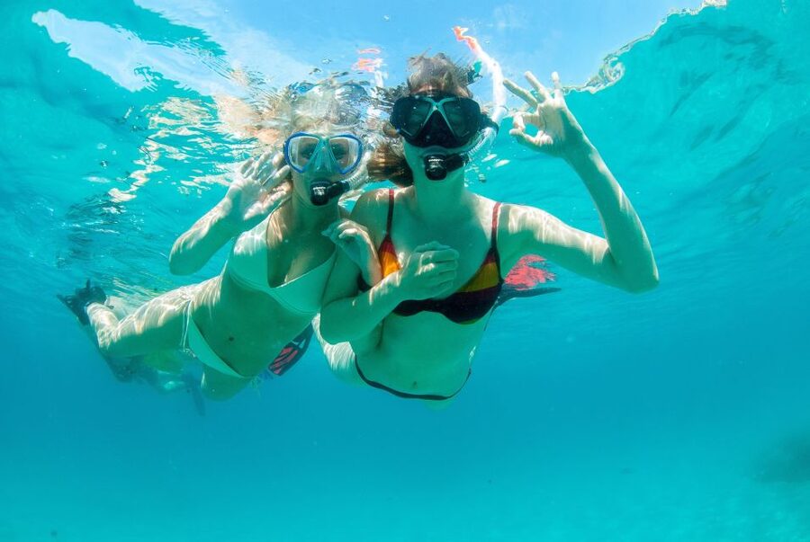 Santa Ponsa: Snorkeling Tour in a Marine Reserve - The core itinerary: van ride, snorkeling time, and break points