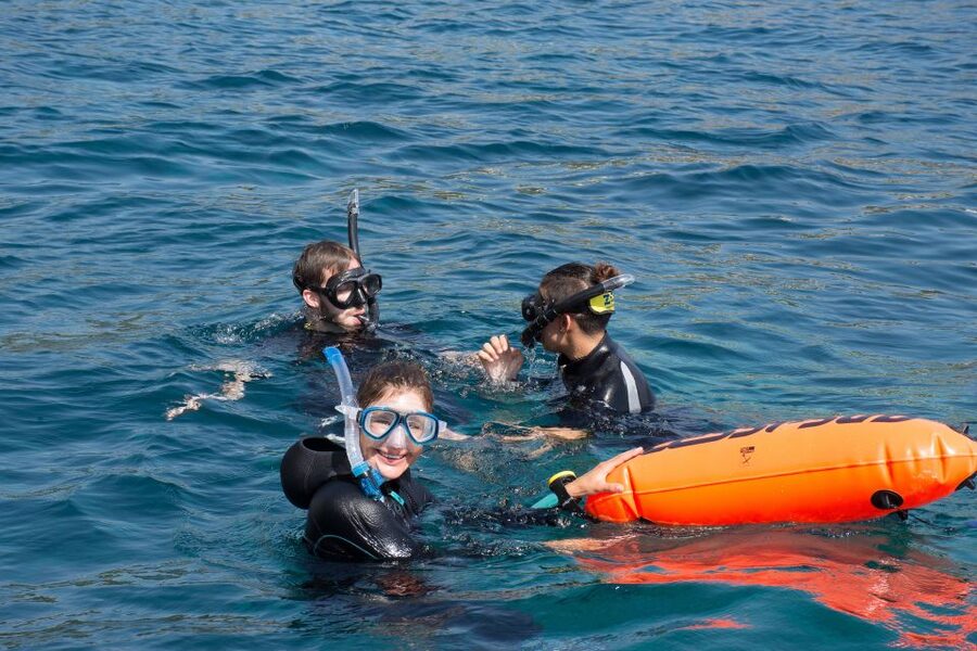 Santa Ponsa: Snorkeling Tour in a Marine Reserve - Underwater highlights you can actually spot