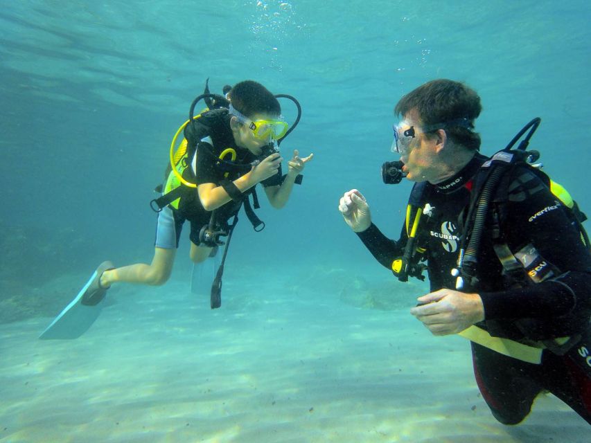 Santa Ponsa: Try Scuba Diving in a Marine Reserve - Your 2-hour underwater skills session (max 6 meters)
