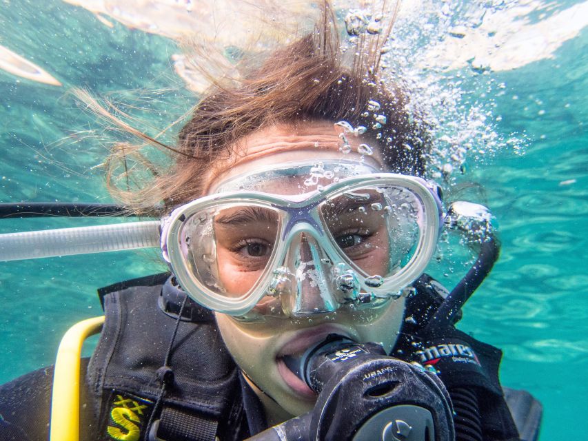 Santa Ponsa: Try Scuba Diving in a Marine Reserve - Transfers and safety briefing in Santa Ponsa