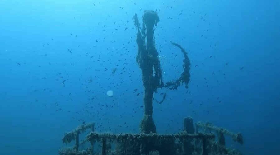 Scuba Diving - Dive for certified divers - Key details that matter