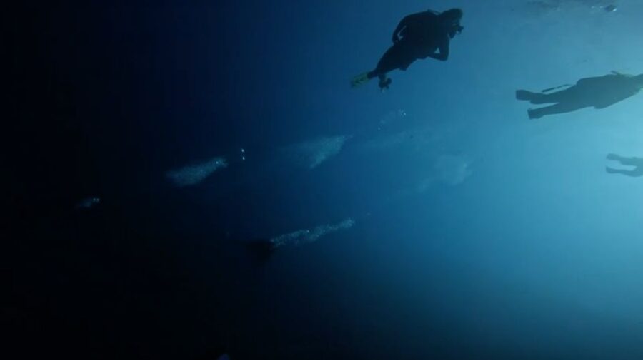 Scuba Diving - Dive for certified divers - Snacks, drinks, and the clean return to hotel life
