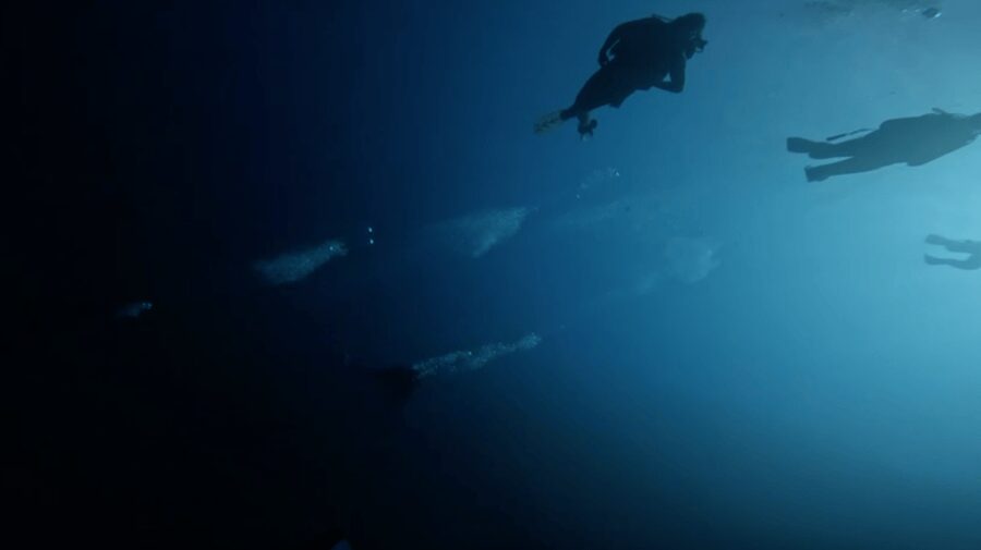 Scuba Diving - Dive for certified divers - Hotel pickup and the Balearic water-entry plan
