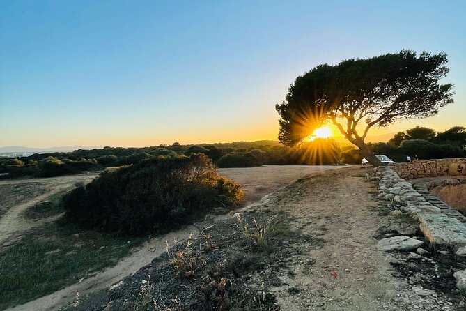Self-guided Walking Tour and Outdoor Escape Game in Cala Millor, in German - Starting at Av. sa Coma, what to do before you go