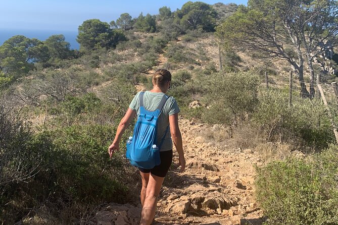 Sierra de Tramuntana hike with small picnic - Price reality check: $85.55 for a guided half-day plus picnic