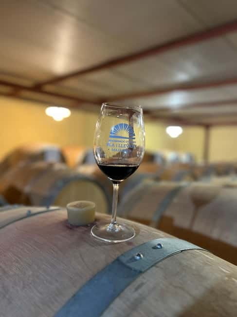 Small group- Exclusive Olive Oil & Wine Tour Mallorca - Should You Book This Olive Oil and Wine Tour?