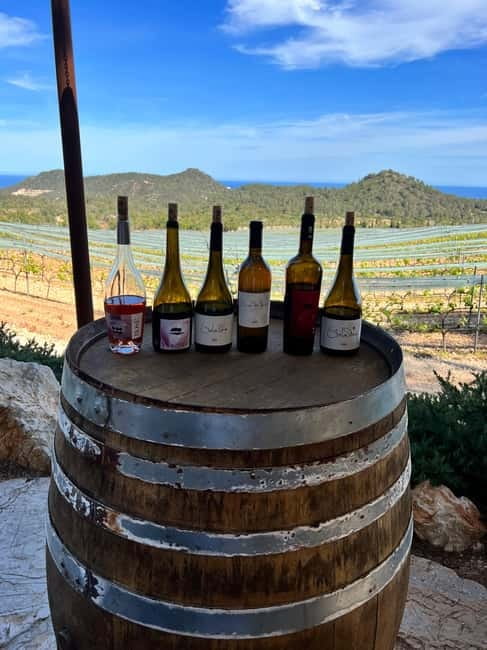 Small group- Exclusive Olive Oil & Wine Tour Mallorca - Mallorca Wine Context You Can Use After the Tour
