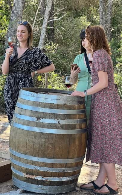 Small group- Exclusive Olive Oil & Wine Tour Mallorca - Who This Tour Suits Best, and Who Should Skip It