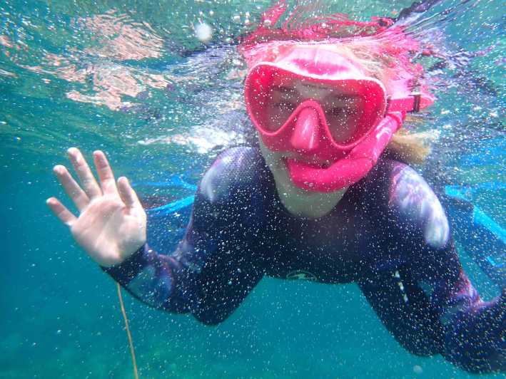 Snorkeling guided tours for tha all family! - Key Highlights to Know Before You Go