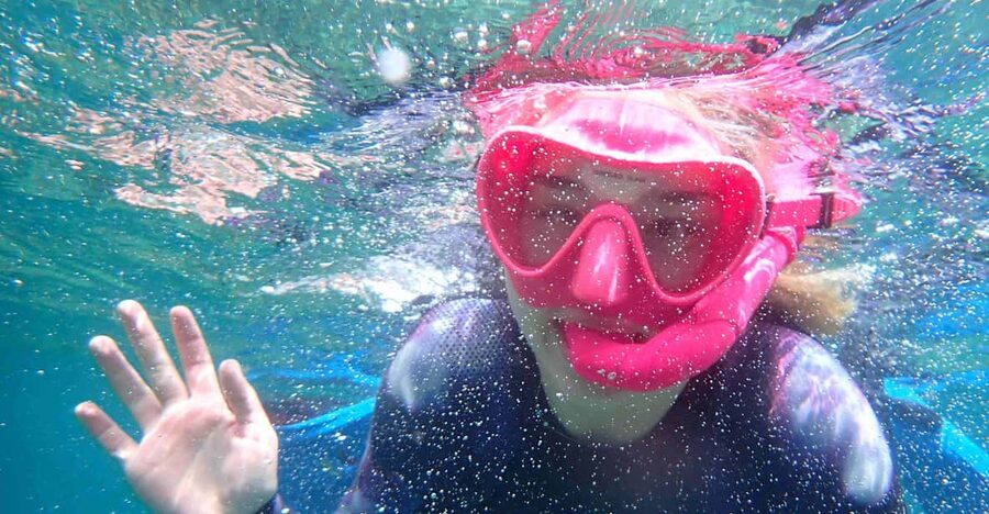 Snorkeling guided tours for tha all family! - Price and value, why $53 can make sense for families