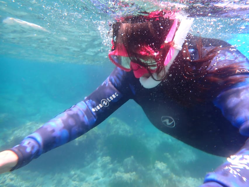 Snorkeling guided tours for tha all family! - Where You Meet and How the Session Starts