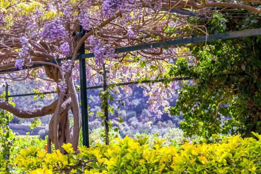Sóller: Jardines de Alfabia Entrance Ticket - Planning Your Timing: Start Early if You Want the Most Enjoyable Pace