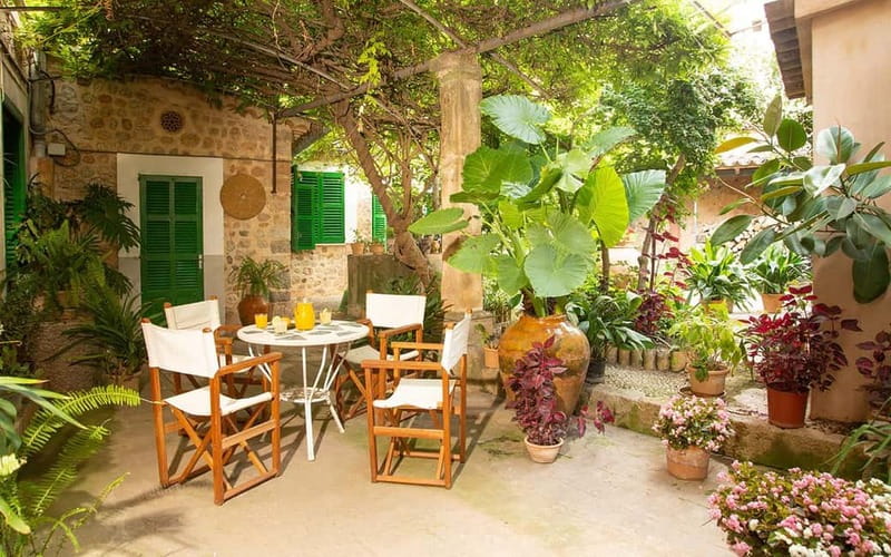 Sóller: Olive Oil Guided Tour and Tasting at Can Det Estate - Can Det at 12:00: the real vibe of this 1-hour olive oil tour
