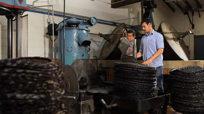Sóller: Olive Oil Guided Tour and Tasting at Can Det Estate - Price and value: is $34 a smart deal?