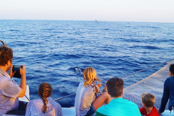 Sunrise Boat Trip in Mallorca with Dolphin-Watching - The Big Catamaran Experience: Comfortable, But Not Quiet