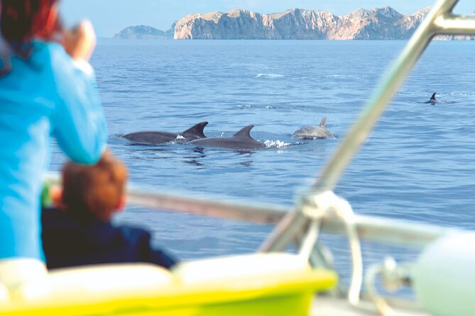 Sunrise Boat Trip in Mallorca with Dolphin-Watching - Dolphin Watching the Practical Way: What to Expect Once You Find Them