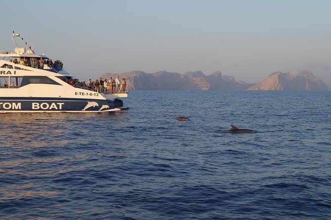 Sunrise Boat Trip in Mallorca with Dolphin-Watching - Group Size, Language, and On-Board Atmosphere