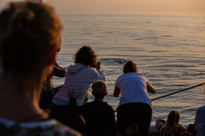 Sunrise Boat Trip in Mallorca with Dolphin-Watching - Who Should Book This Tour, and Who Might Prefer Something Different