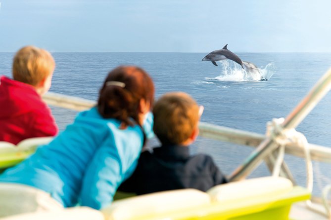 Sunrise Boat Trip in Mallorca with Dolphin-Watching - How the Route Works: Alcúdia Coast, Open Water, and Cap de Formentor Views