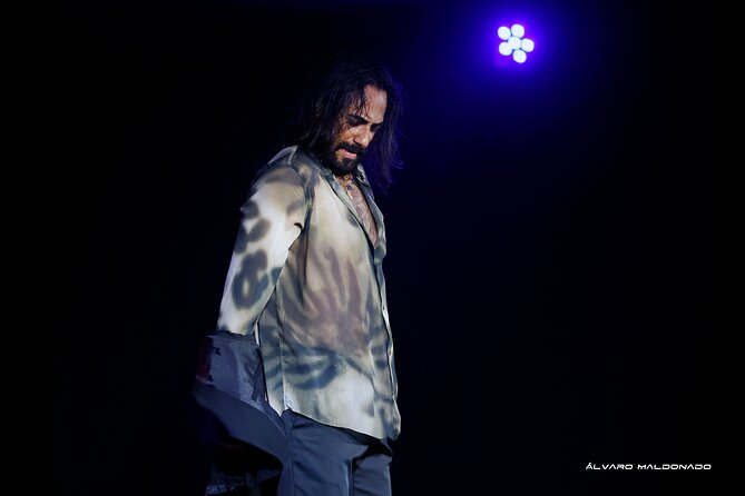 Tablao Flamenco Alma - Live Flamenco Show - Service Animals and Who This Fits