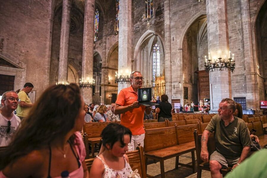 The Best of Palma: Boat trip, Walking tour and Cathedral - Price and value: is $46 per person worth it?