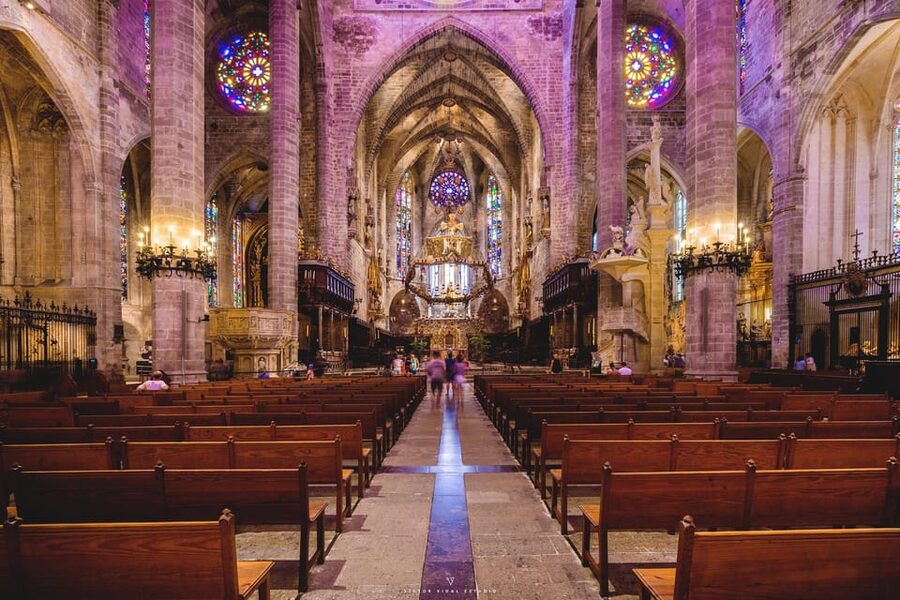 The Best of Palma: Boat trip, Walking tour and Cathedral - Walking Palma’s highlights: walls, courtyards, Almudaina Palace, and town hall square