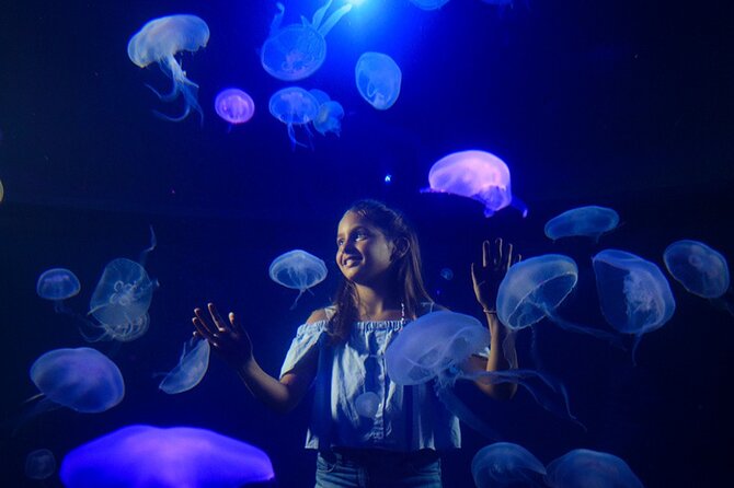 Ticket Palma Aquarium - Mediterráneo to Medusario: how the different zones change the mood