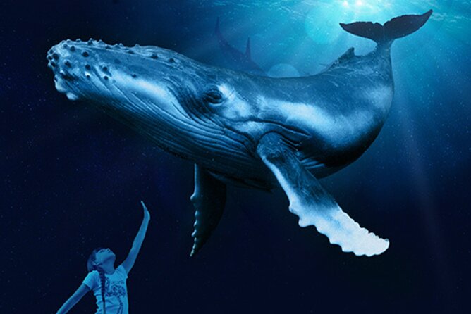 Ticket Palma Aquarium - Family-friendly extras that turn 3 hours into a full afternoon