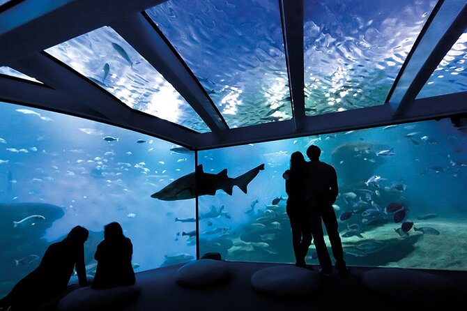 Ticket Palma Aquarium - The themed route: eight habitats, one continuous plan