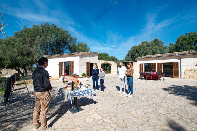 Tour to olive grove and olive mill, oil tasting and snack - Timing, meeting point, and how to plan the rest of your day