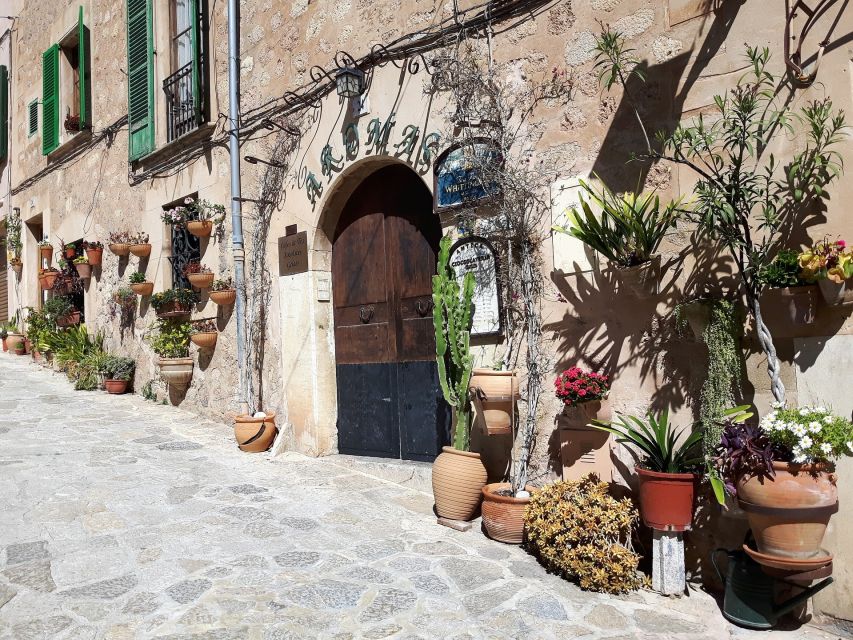 Tramuntana Panorama Tour - Soller, Deiá, Valldemossa - Price and Value: Why This Tour Costs $221 and What You Get Back