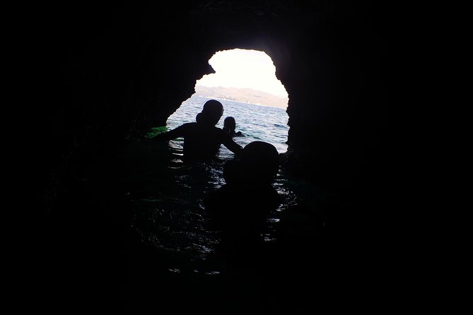 Try adventure, try coasteering - North coast - Price and Value: Why $96.13 Makes Sense Here
