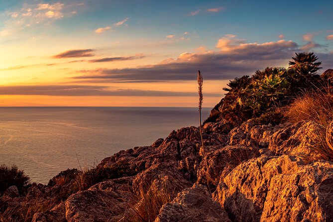 Unique V8 Trike Tour to the Tramuntana Mountains min2 max.4 Pers - What $142.97 per person buys you, and why it feels fair