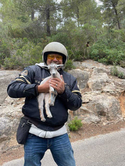 V8 Trike Tour mit Fahrer/Guide für max 4Gäste - Cala Fornells and the Secret Bay Feeling