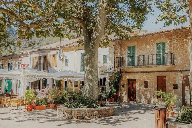 Valdemossa Half Day Tour - Key Things You’ll Notice on This Half-Day Valldemossa Trip