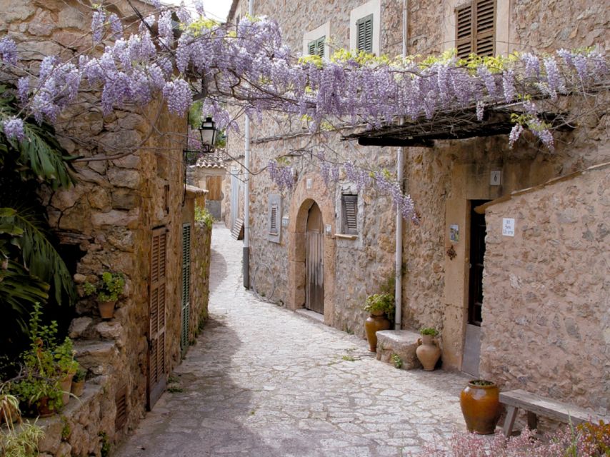 Valldemossa: Discover Valldemossa with a transfer from Palma - Palma to Valldemossa: the panoramic ride and why it matters