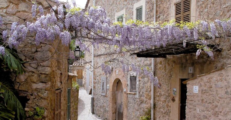 Valldemossa: Discover Valldemossa with a transfer from Palma - Guided walking tour: what you’ll see and why the order works