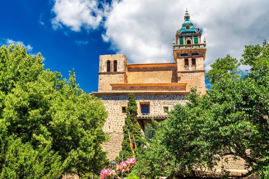 Valldemossa: Discover Valldemossa with a transfer from Palma - Language options: easy communication makes a difference