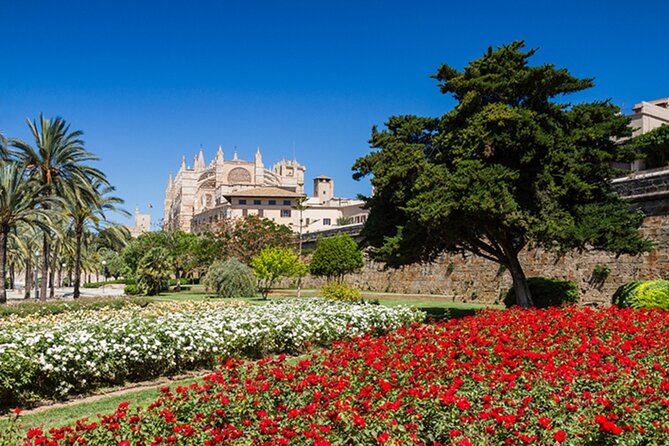 Visit Palma and Valldemossa - Key things to know before you go