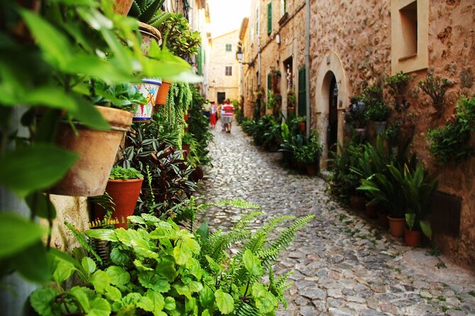 Visit Palma and Valldemossa - The quick take: should you book Palma and Valldemossa?